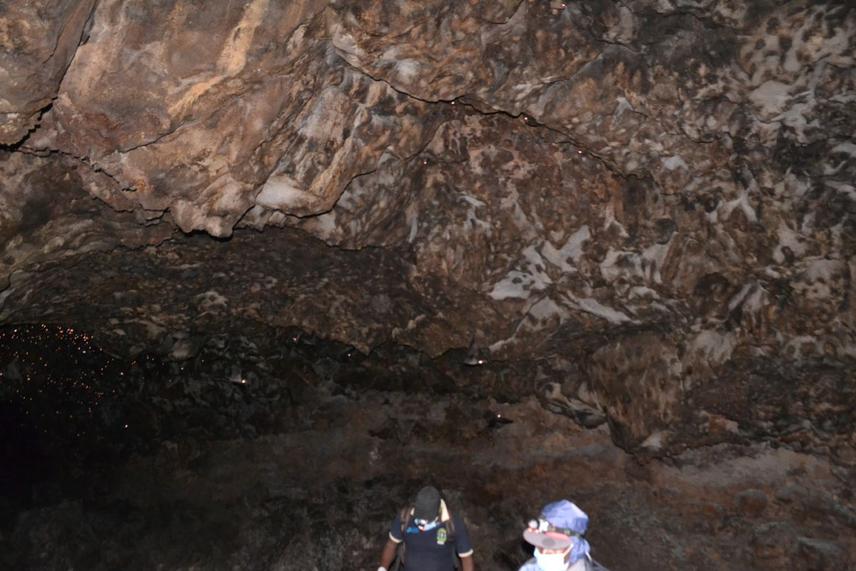 Bat counting in Musanze caves © Nziza Julius