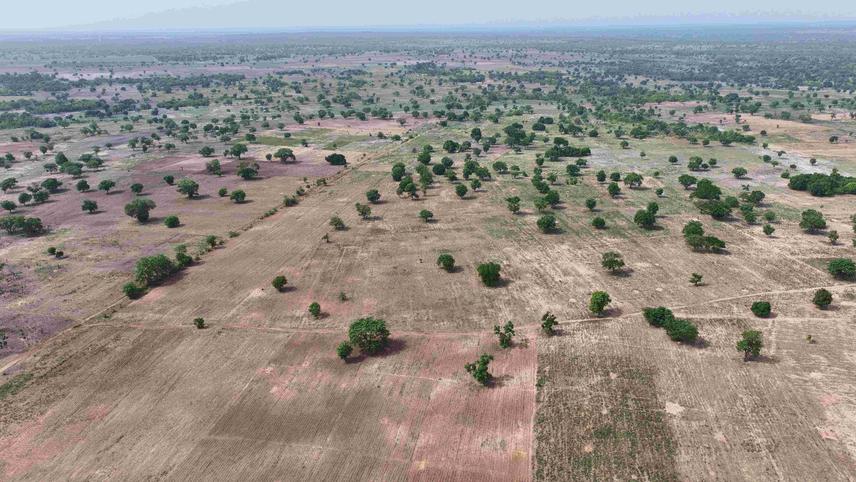 Agroecosystem landscape in northern Benin (c) Biaou Séverin (2025)