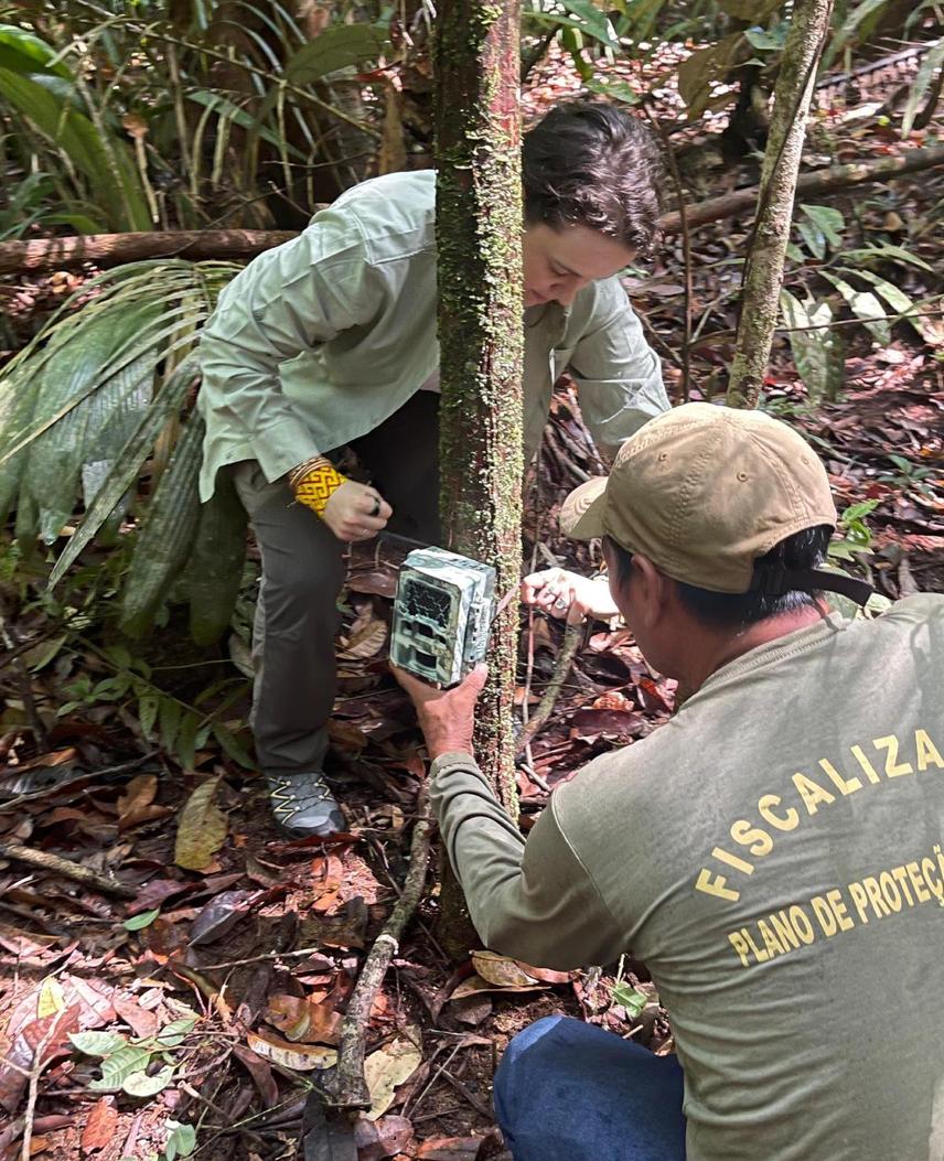 Camera trap installation carried out with Sawá Waimiri, the leader of the Mwnawa Village in the Waimiri-Atroari Territory. © Luiz Antonio Gambá
