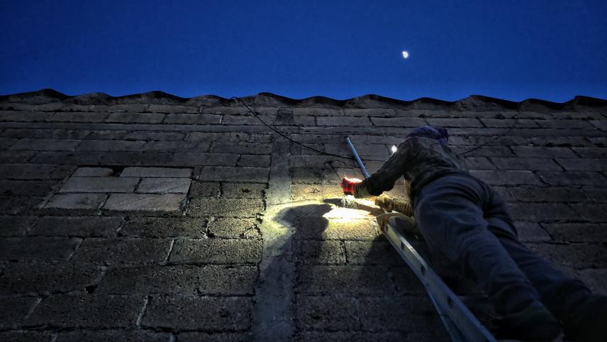 Capture of a bat for identification at a potential urban roost in San Francisco de Campeche. © Alba Hortencia Cortés Ibarra.