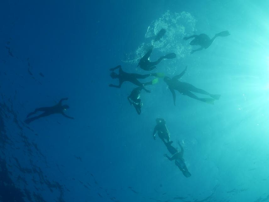 Childrens snorkeling group from underwater. (c) Michelle Carpenter
