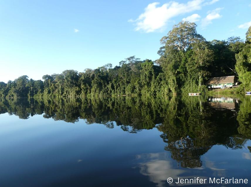 Cocha Cashu Biological Research Station, Manu National Park, Peru