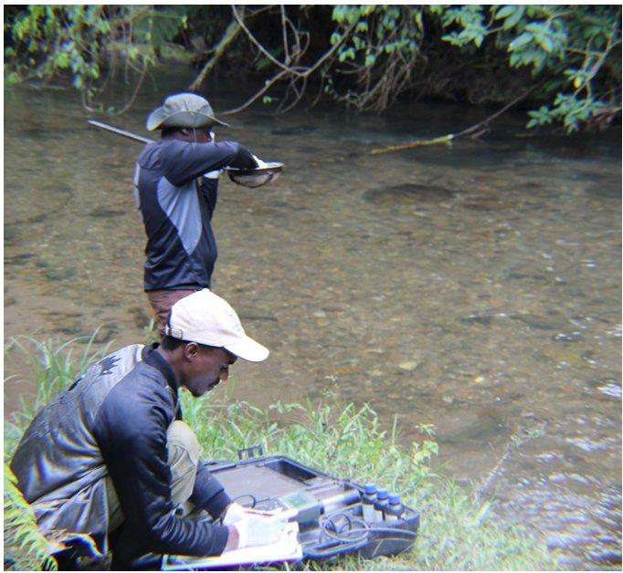 Collecting in situ physicochemical parameters using a HANNA multiparameter probe meter. © G. Kagoro, 2023