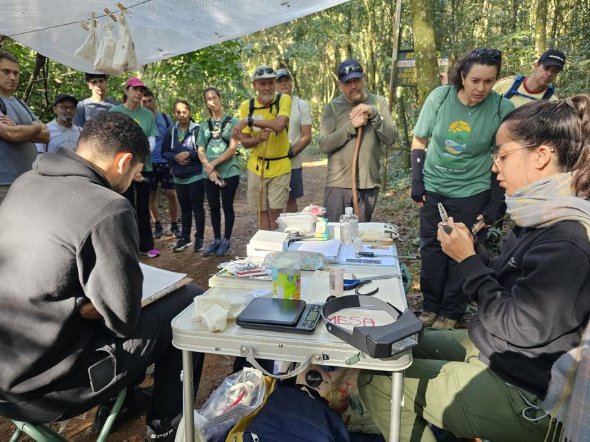 Demonstrative bird banding activity during a guided visit at Serra do Japi, Brazil. © Pâmela Friedemann, 2025.