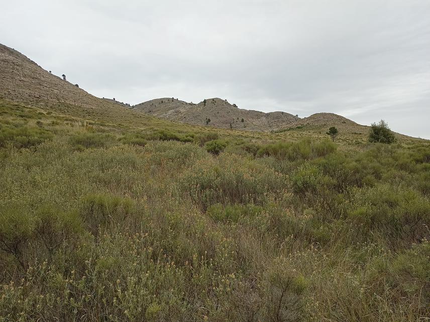 Ernesto Tornquist Provincial Park, southern triangle area in spring. ©Dolores María Goñi.