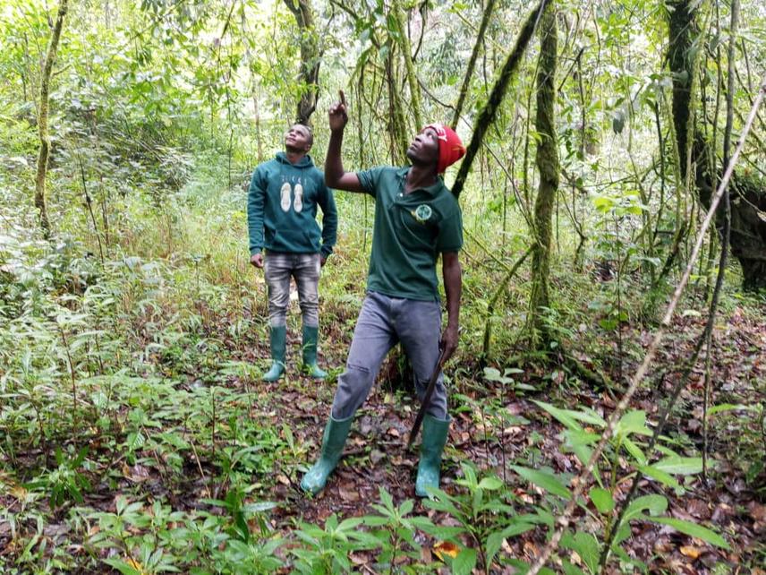 Rungwecebus transect monitoring. © ECOWICE.