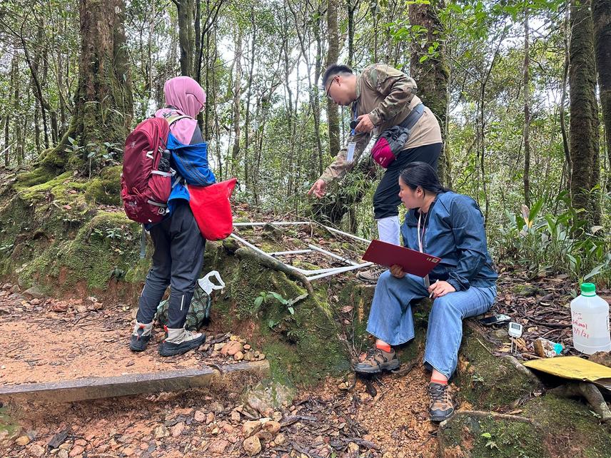 Preliminary fieldwork on trailside bryophyte communities along Mount Kinabalu’s elevational gradient ©  Xiangbo Yin