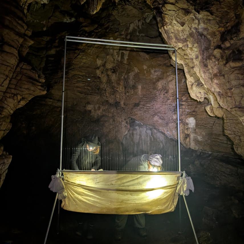 Team members with a harp trap for bat capture ©Jelena Burazerović