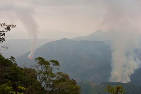 Habitat destruction in the Lajas River watershed, Sierra de Perijá. Principal threat for raptors in this area is habitat conversion from forest in to croplands.