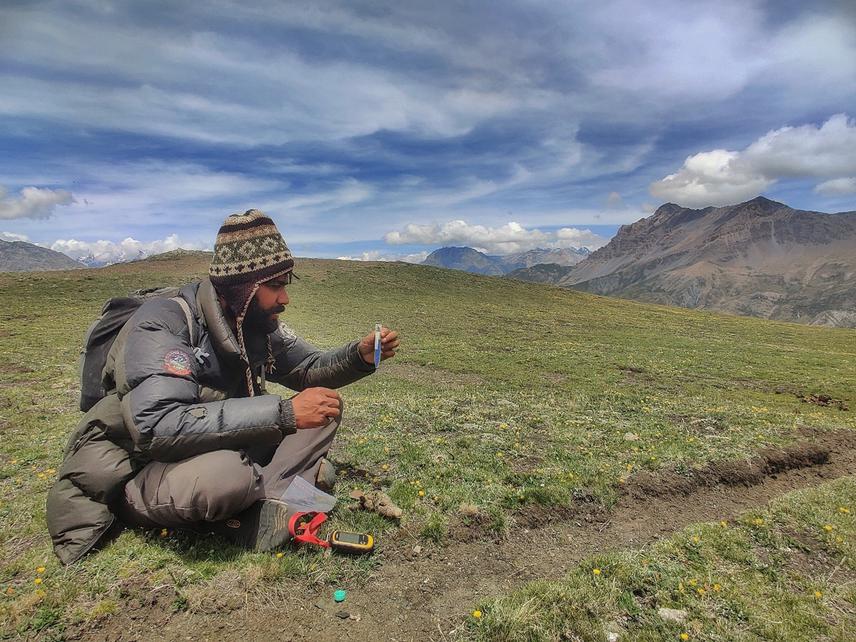 I (Sandesh Lamichhane) investigate the scat of the Himalayan wolf in Shey Phoksundo National Park, Nepal. ©Bhumi Prakash Chaudhary Tharu.