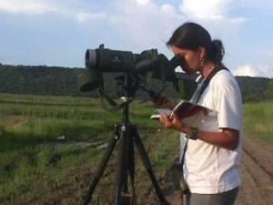 Johanna Hurtado in the field.
