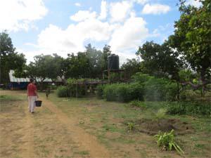 Kaiambe Ranch, site of planned shade-nursery.