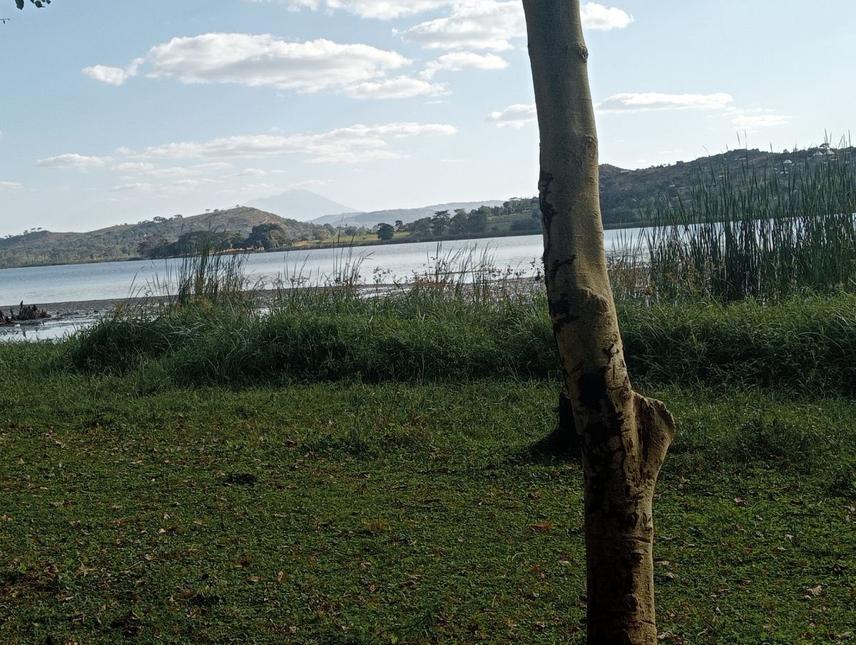 Lake Babati-Majengo ward; A hippo common foraging area; © Florence Godfrey Tarimo