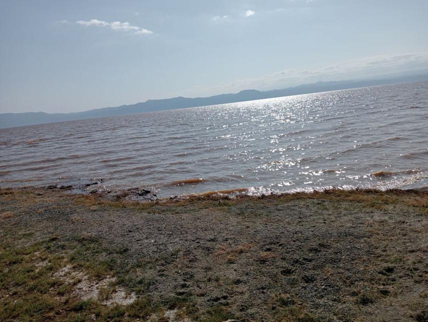 Lake Manyara-Esilalei ward; A hippo common foraging area; © Florence Godfrey Tarimo