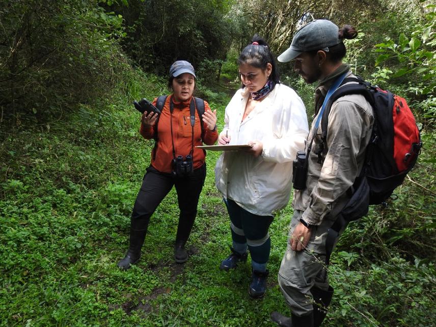 Luz Thormann and field assistants conducting tapir faeces sampling in El Rey National Park ©Ana Boggio