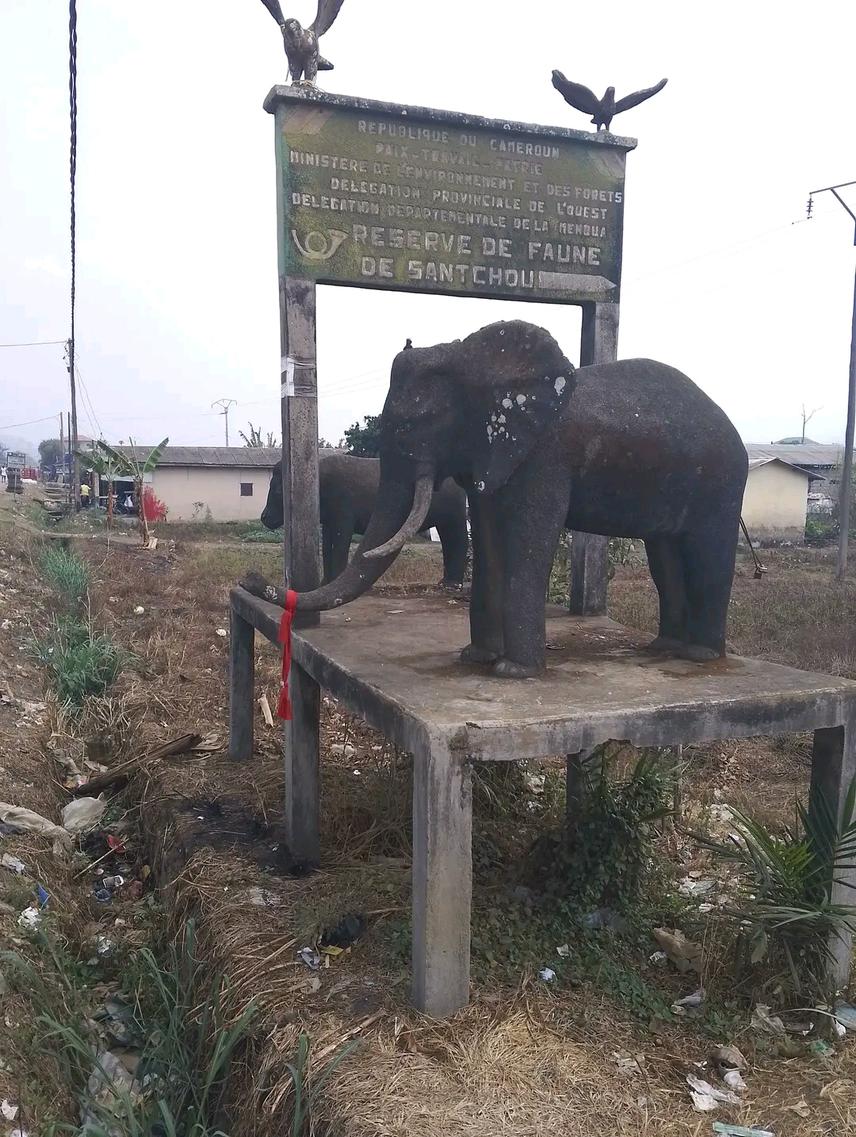 Main signpost in Santchou showing images of birds, dwarf elephants and buffalos. ©Deh Nji, 2024.