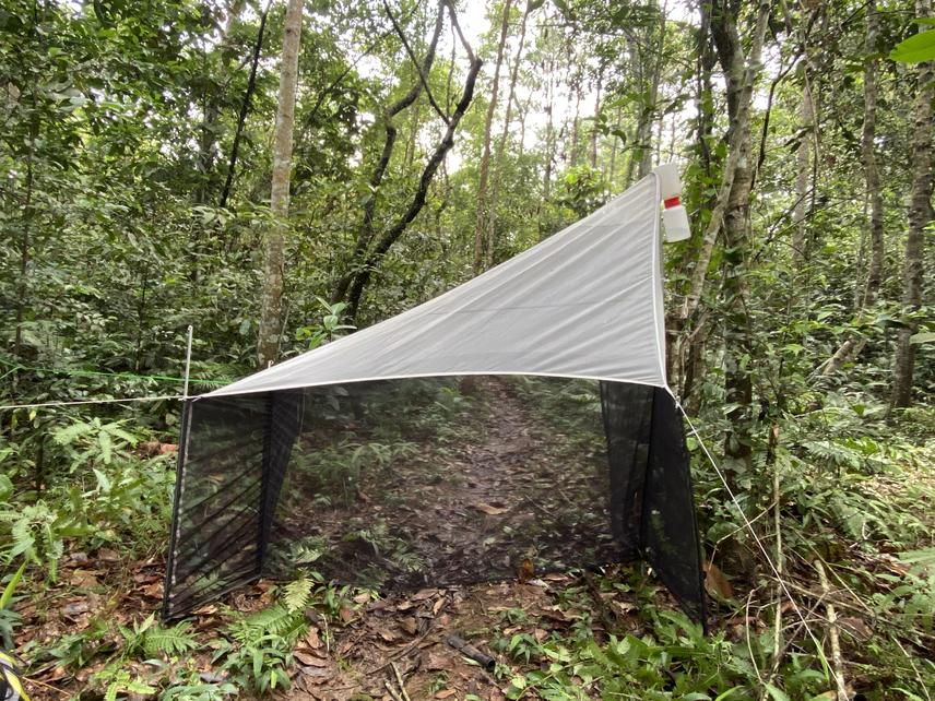 Malaise trap. ©Pham Van Phu.
