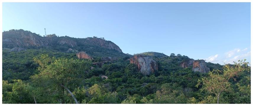 Matooi Hill Forest Ecosytem © Justus Mulinge Munywoki