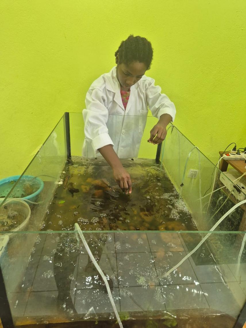 Photo of Menye Ndongo Louise C in the lab. (c) Carine  Rosine T