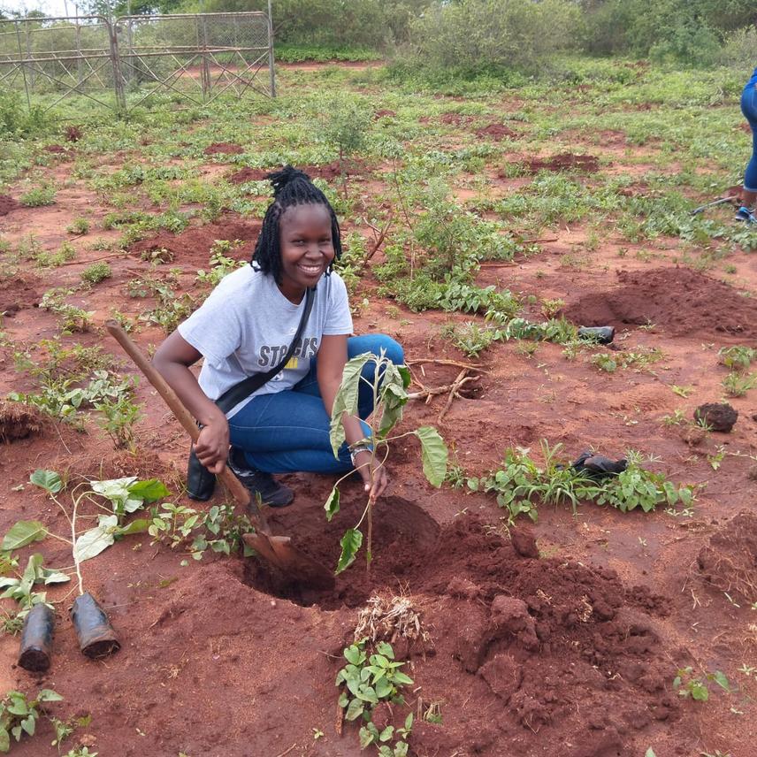 Mercy planting a tree in Lumo Conservancy, Taita Taveta County, during the National Tree Planting Day on 13 November 2023. Photo credit: Mercy Ndalila.