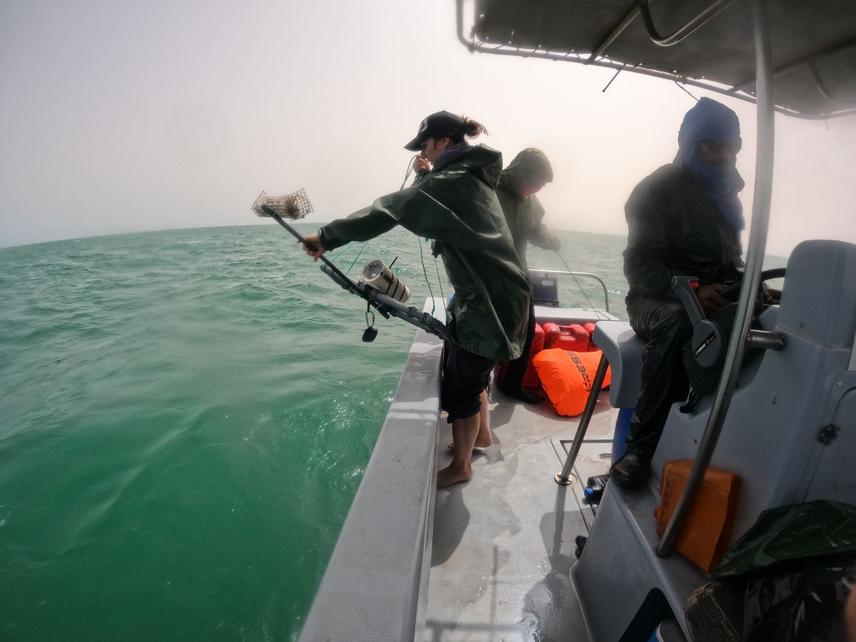 Moments before deploying a pelagic BRUVS structure - ©Ruth Coya 4