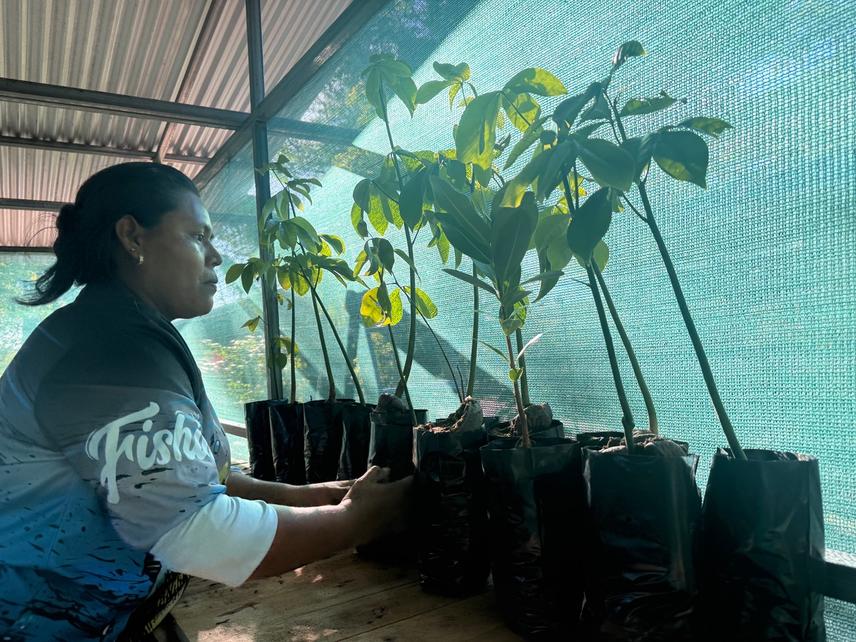 Nursery seedlings and local women leader (c) Sofia Pastor Parajeles