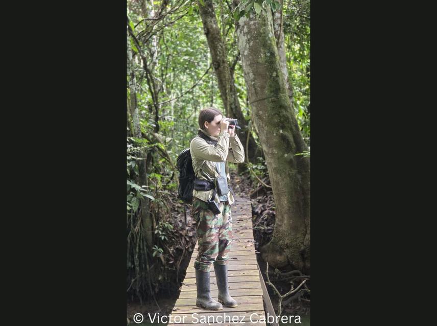 On the trail at Cocha Cashu Biological Research Station, Manu National Park, Peru