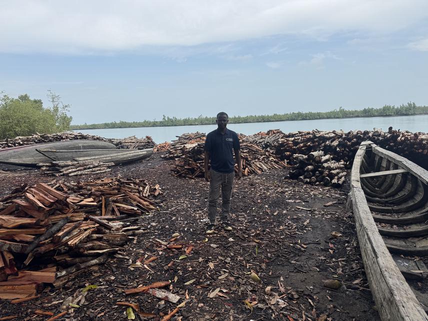 Oumar Cisse conducting mangrove conservation fieldwork in Guinea as part of his capstone research on reducing mangrove logging and strengthening community-based management. Copyright: © Oumar Cisse