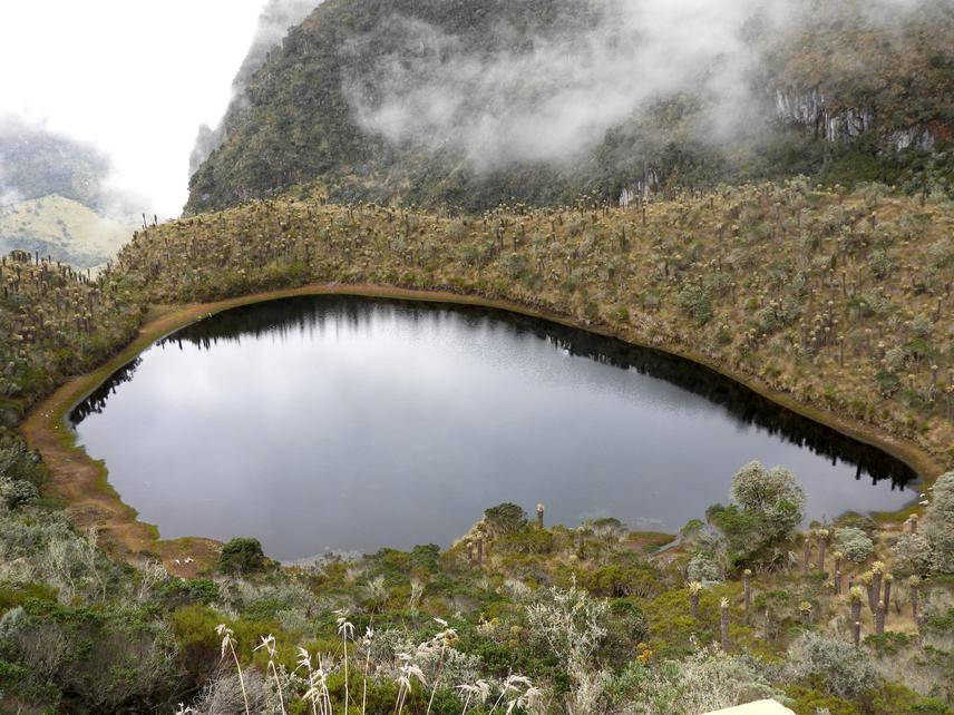Páramo lagoon. © Fundación TropiCall.
