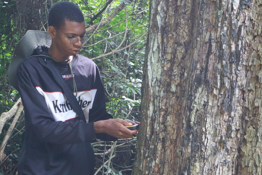 Recording GPS coordinates of a Benin Potto dormitory tree. © Azihou Detchegnon Chadrack.