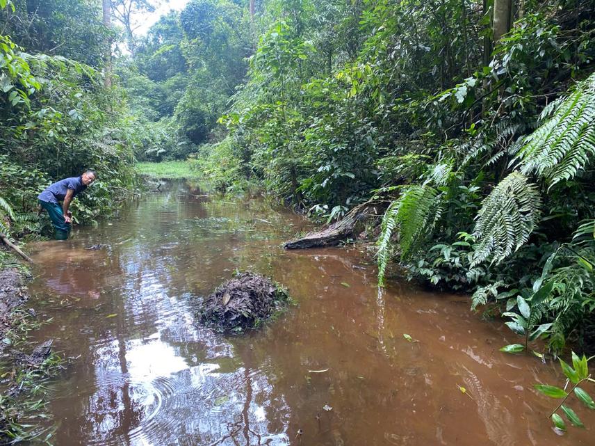 Habitat of Tylototriton pasmansi in Phu Canh Nature Reserve (c) Phuong Nguyen