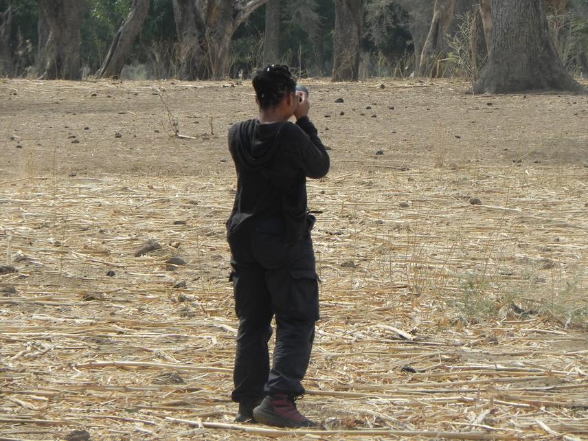 Observing vultures during fieldwork in northern Cameroon (c) Daniella Manewoung Zogning