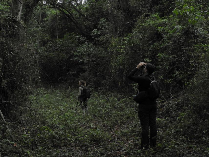 Northern-Muriqui. © Sarisha Trindade.