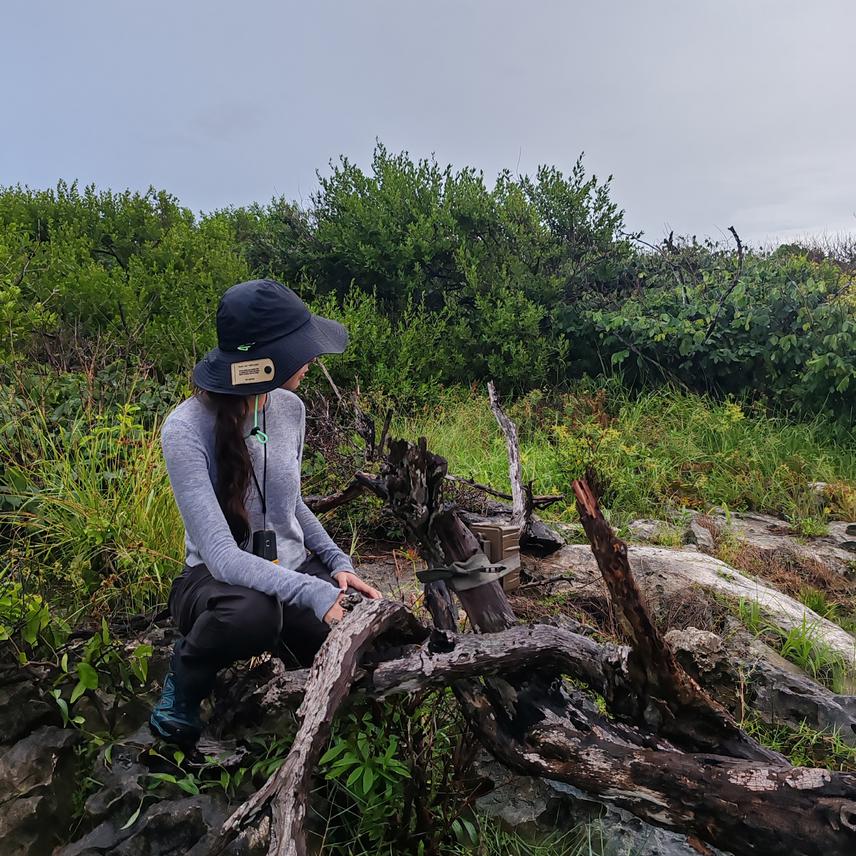 Placement of camera traps in coastal dunes, Cozumel ©Aguilar-Guerrero A.