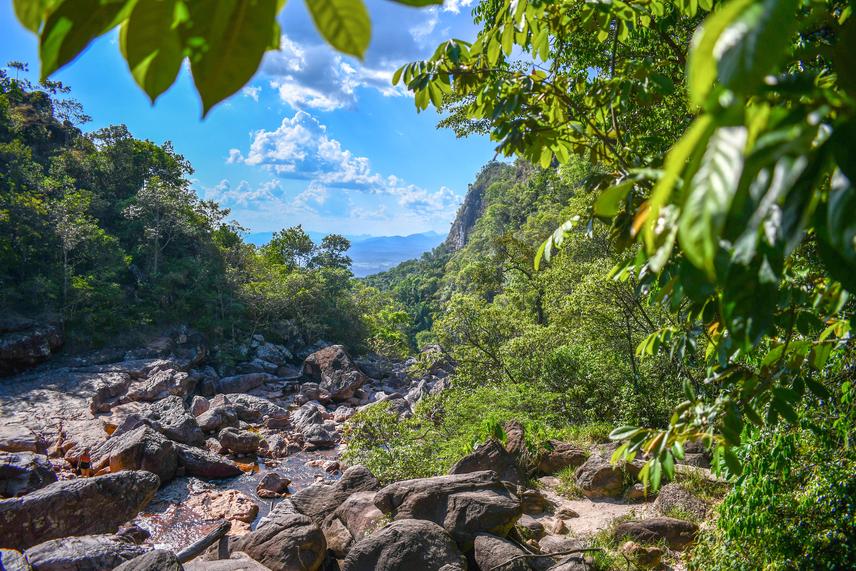 Photo highlighting the environmentally associated area with the occurrence of Anomaloglossus tepequem, including stream and rapid habitats. ©Whaldener Endo.