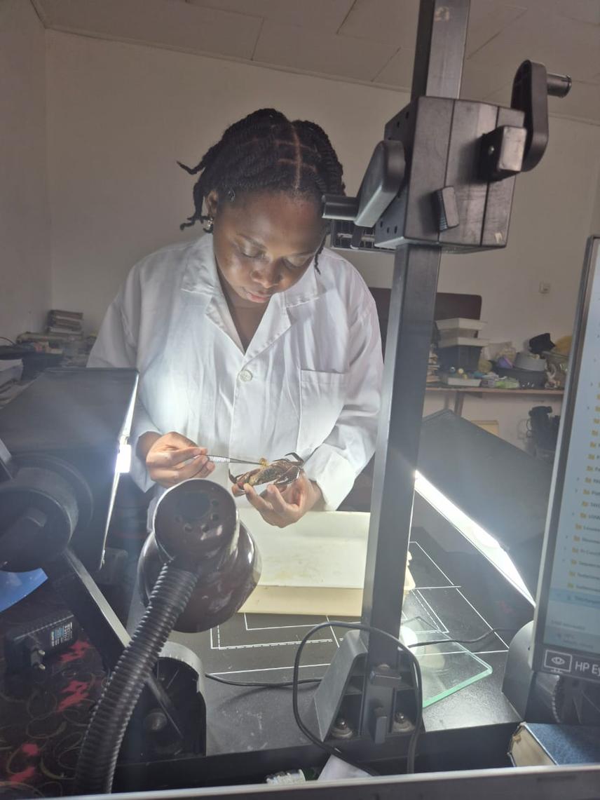 Photo of Carine Rosine identified crab species in the lab. ©photo by Menye Ndongo Louise Charlene