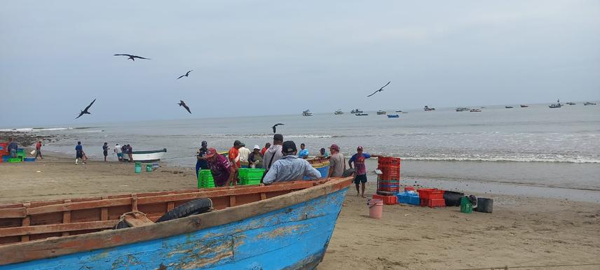 Fishers at work in the “La Cruz” cove in Tumbes, one of the communities where the project will be implemented. © Aurora Anahí Maguiña Silva.