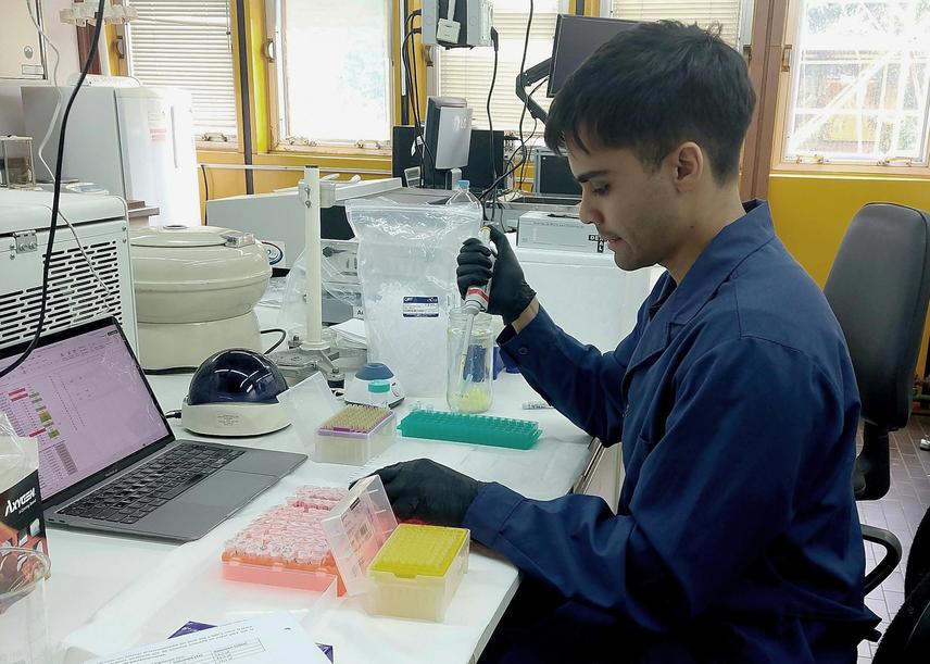 Alejandro Ezequiel Rojas training in laboratory work for RAD-seq library preparation. ©Yésica Álvarez (Universidad Nacional de Tierra del Fuego).