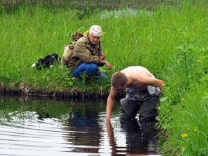 Polina Volkova and Nikita Tikhomirov collecting Isoetes asiatica.