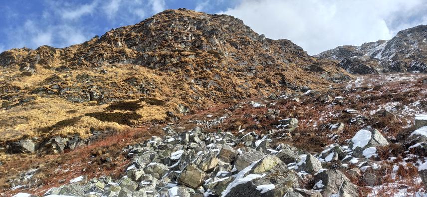 Potential habitat of Woolly Flying Squirrel, Uttarkashi, Uttarakhand, India. ©Hiranmoy Chetia.