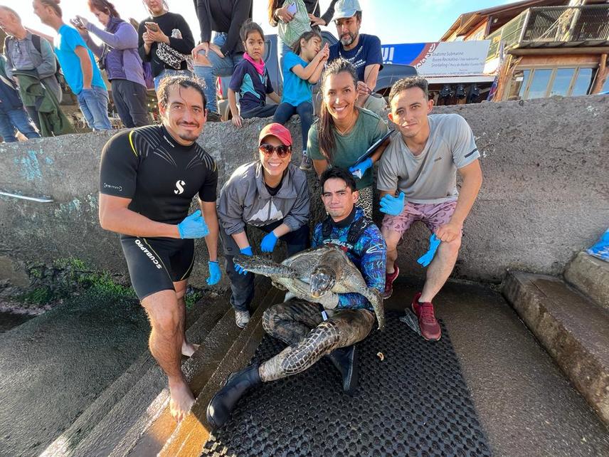 Rapa Nui Sea Turtle Team, Hanga Roa Bay, Rapa Nui, Chile. © Rocio Álvarez-Varas.