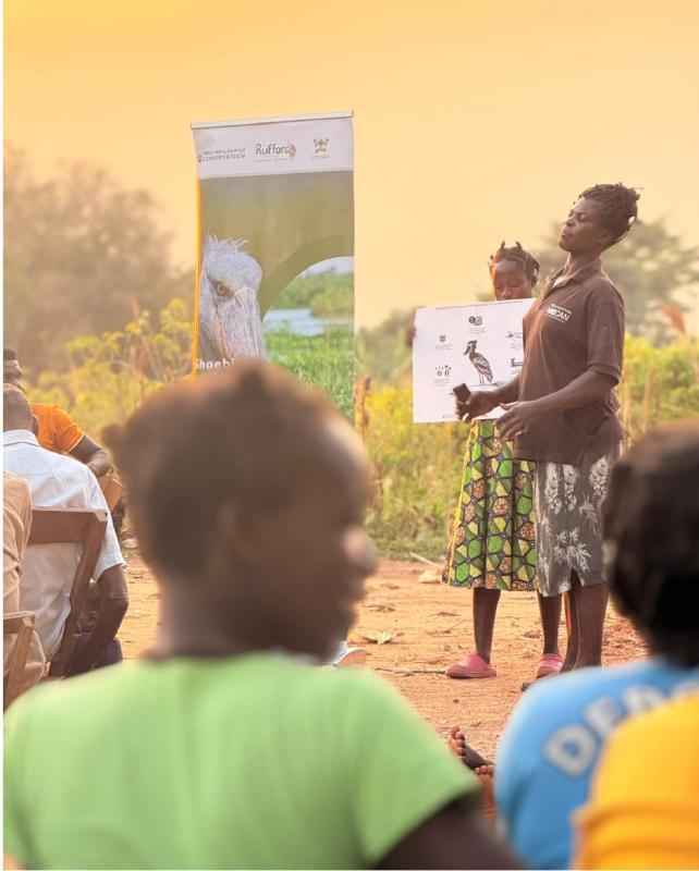 Representatives from a break out group presenting on Community roles in ConservingProtecting shoebills and Wetlands during a community Awareness workshop in Abatai-Agule Village © Aiita Joshua Apamaku