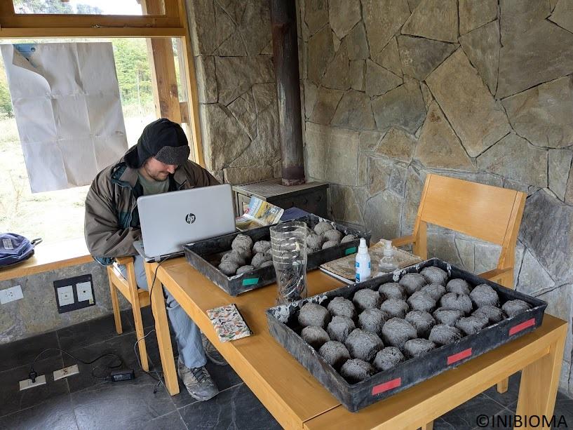 Researcher Nahuel Aizen planning restoration sowing experiments at the Ñorquinco Information Center, Lanín National Park, Argentina © INIBIOMA