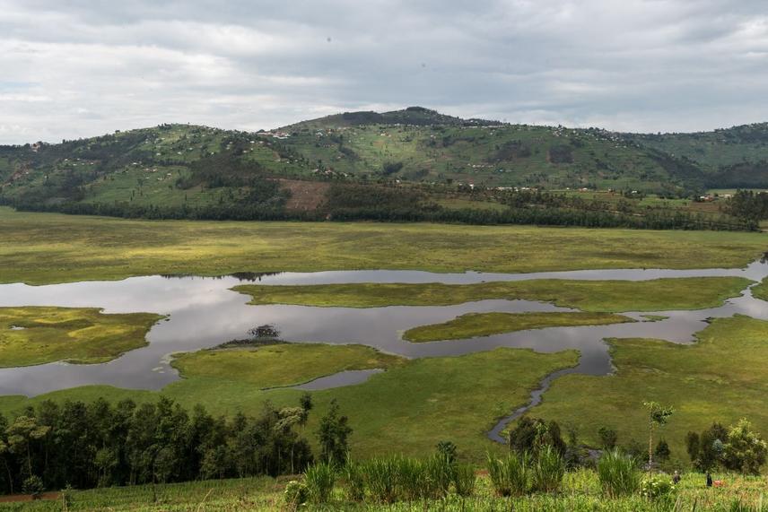 Rugezi marsh © Placide Masengesho