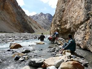 Kargil Field surveys.