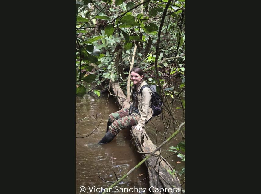 Searching for camera trap locations for installatio