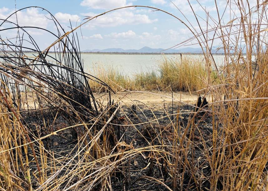 Shrubs burning monitoring (c) Frank UDOM 2025