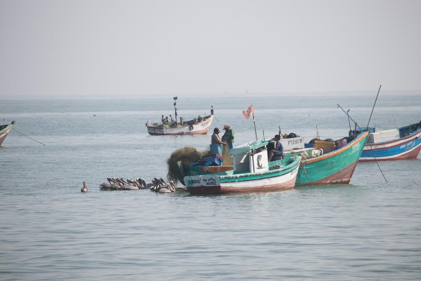 Small-scale fisher's boats at La Cruz fishing cove (c) Aurora Maguiña Silva