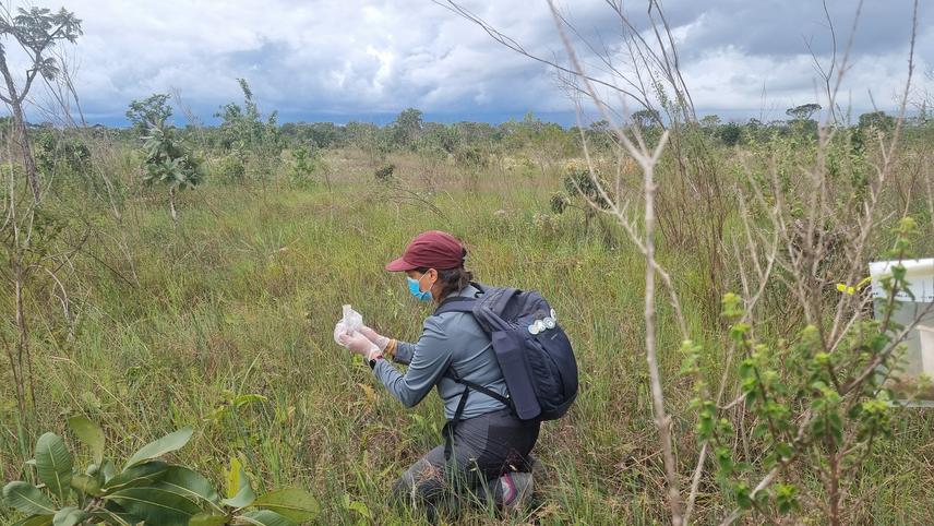 Soil Sampling. © Wericles Ribeiro.
