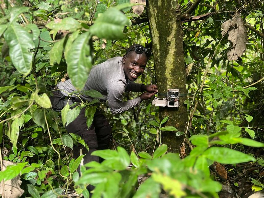 Ssemambo Byron setting up a wildlife trail camera along the transect to monitor Wildlife species © Byron Ssemambo